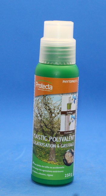 Protecta phytopast mastic Polyvalent 250g