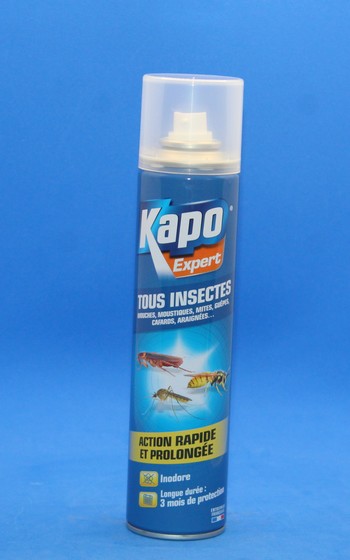 KAPO Tous Insectes aérosol 300ml  3031