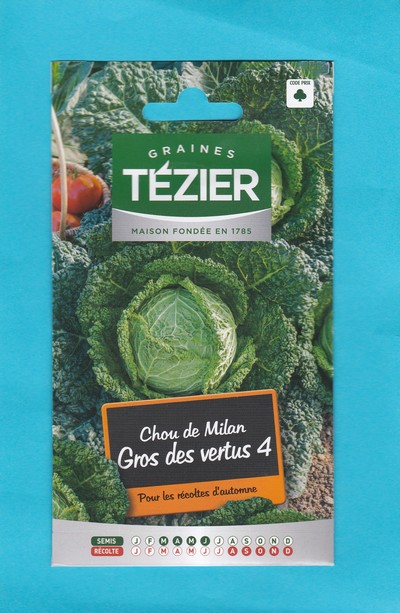 Tézier graine  Chou de Milan Gros des vertus 4  1*