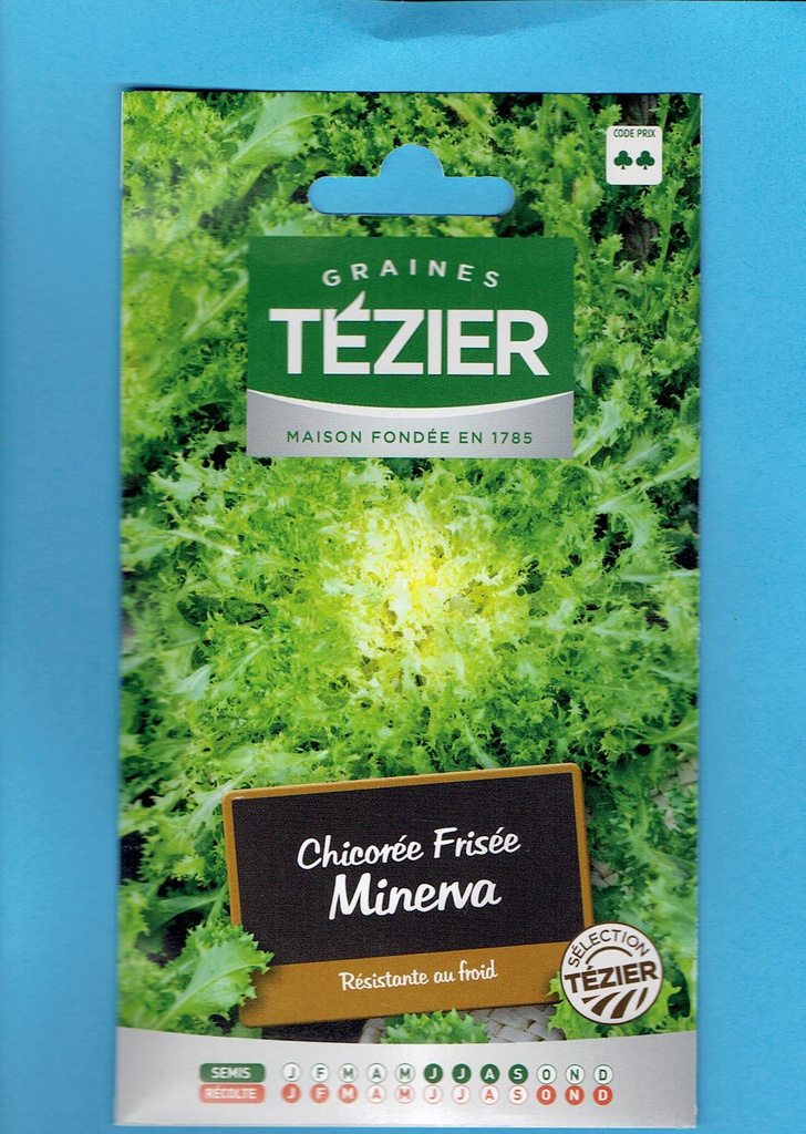 Tézier  graine Chicorée frisée Minerva 2*