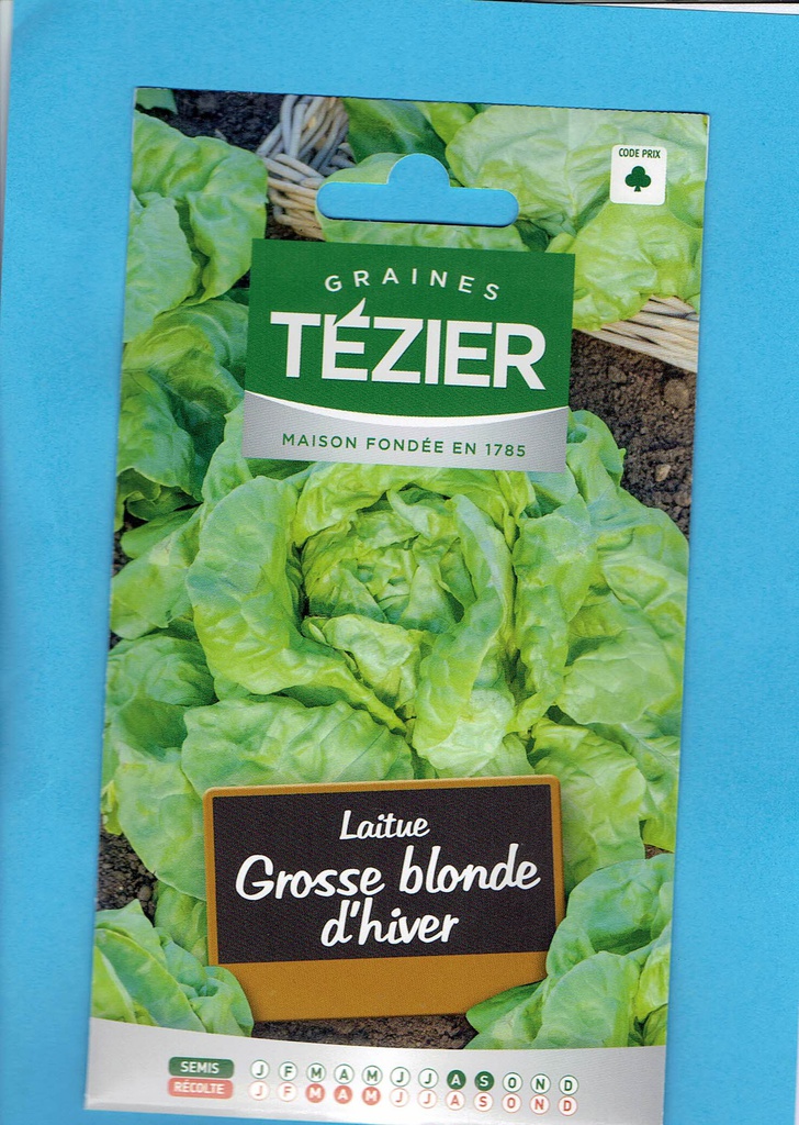 Tézier graine Laitue grosse blonde d'hiver 1*