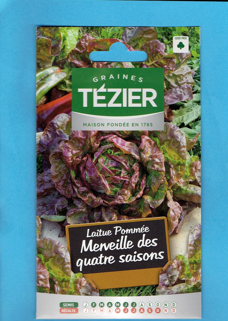 Tézier graine Laitue pommée - Merveille des quatres saisons