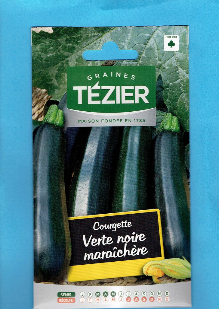 Tézier graine Courgette verte noire maraîchère 1*