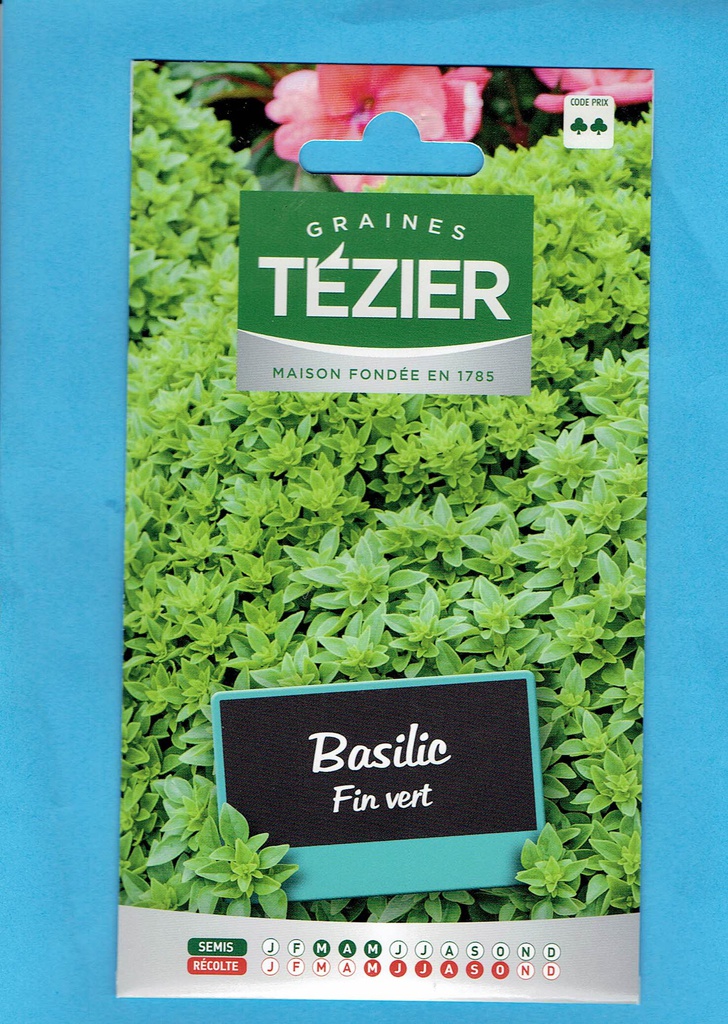 Tézier  graine Basilic fin vert 2*