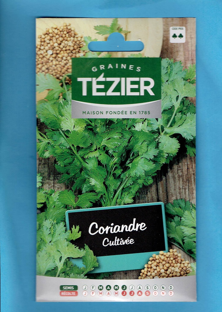 Tézier  graine Coriandre cultivée