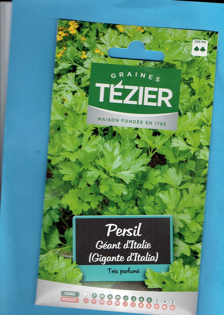 Tézier  graine Persil - Géant d'Italie