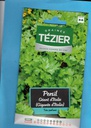 [TZ-3790512] Tézier  graine Persil - Géant d'Italie