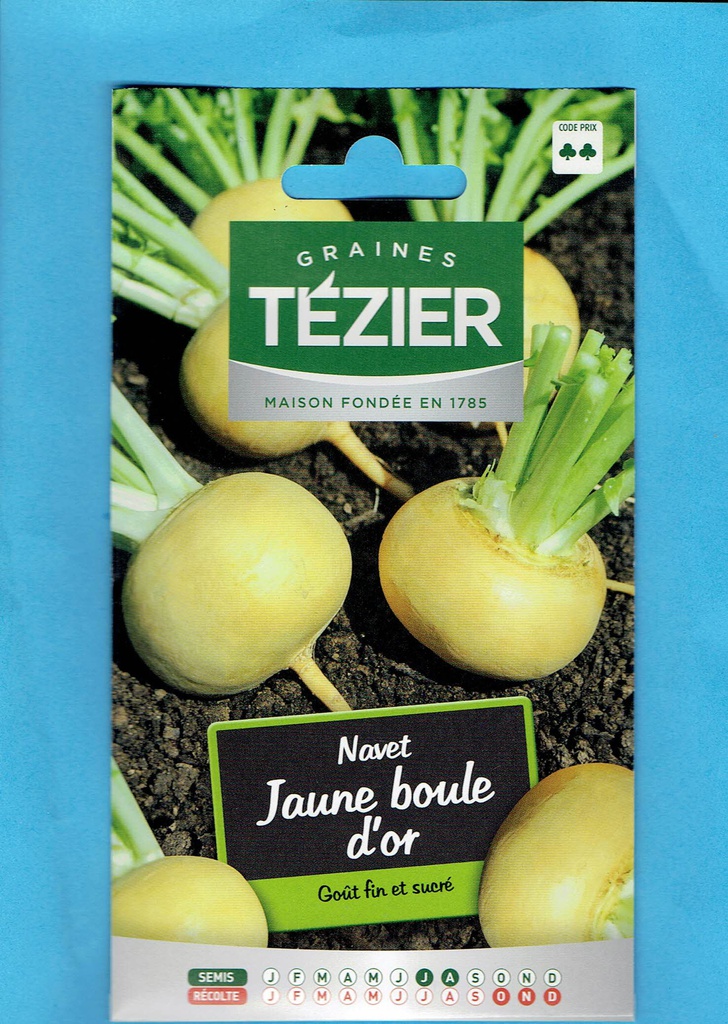 Tézier  graine  Navet Jaune boule d'or