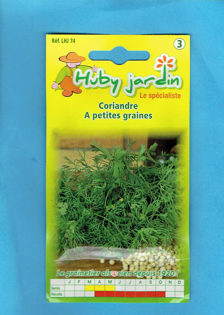 Huby Jardin - Coriandre à petites graines
