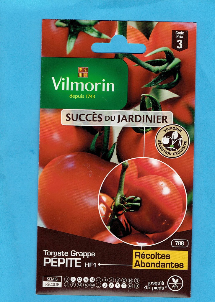Vilmorin  graine  Tomate Grappe Pépite HF1