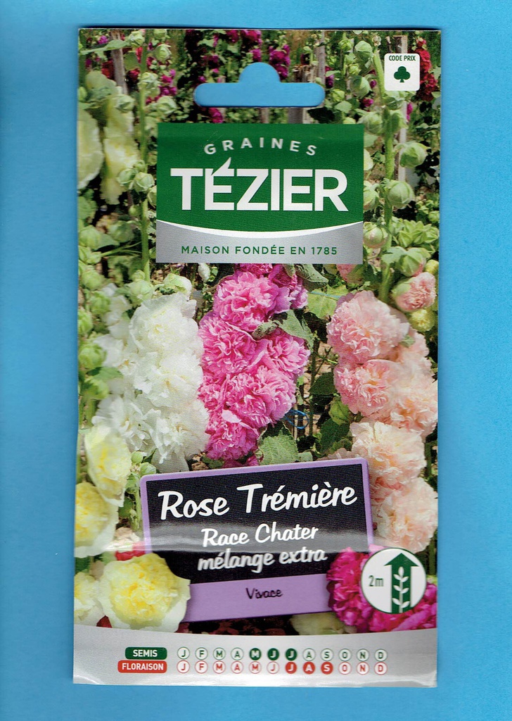 Tézier graine  ROSE Trémière -Race Chater- mélange extra