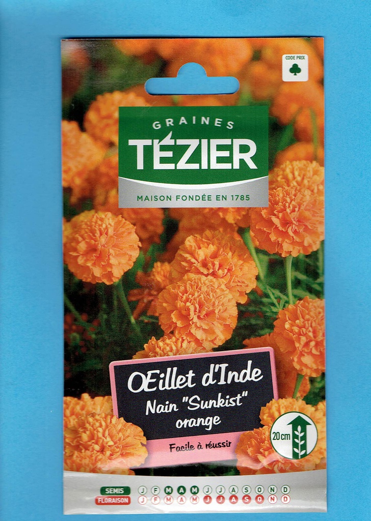 Tézier graine  Oeillet d'Inde - nain &quot;Sunkist&quot; orange