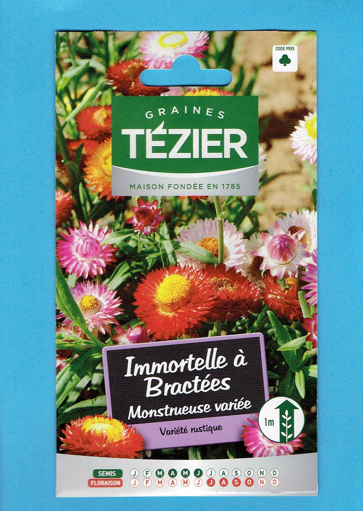 Tézier graine  Immortelles à Bractées- monstueuse variée