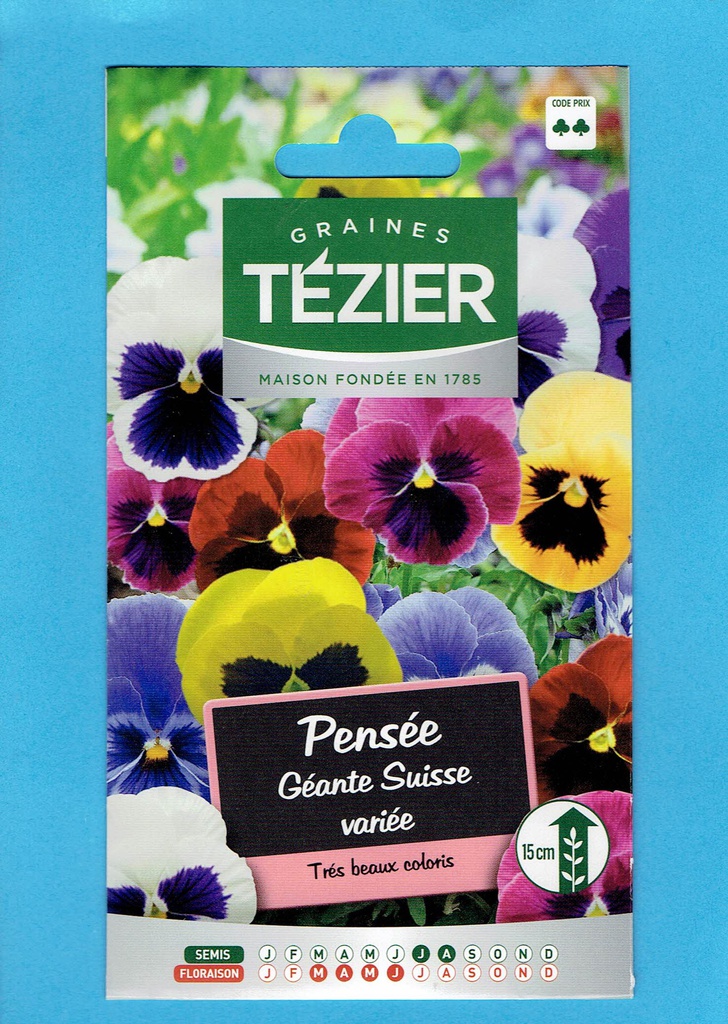 Tézier  graine  Pensées - Géante Suisse variée