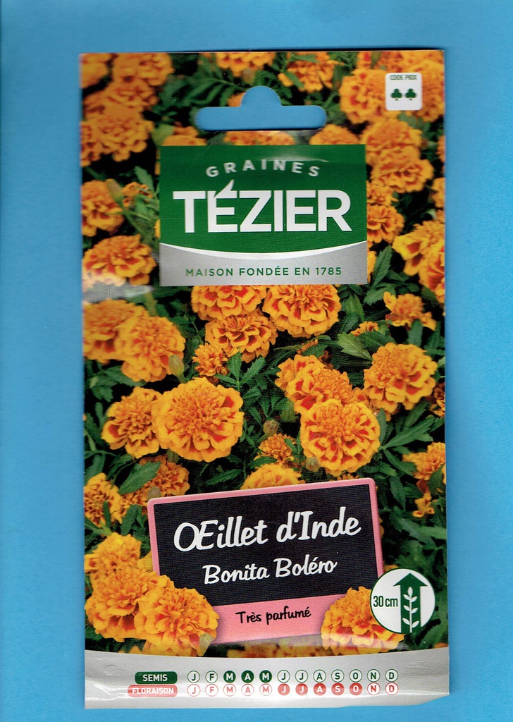 Tézier  graine  OEILLET d'Inde - Bonita Boléro 2*