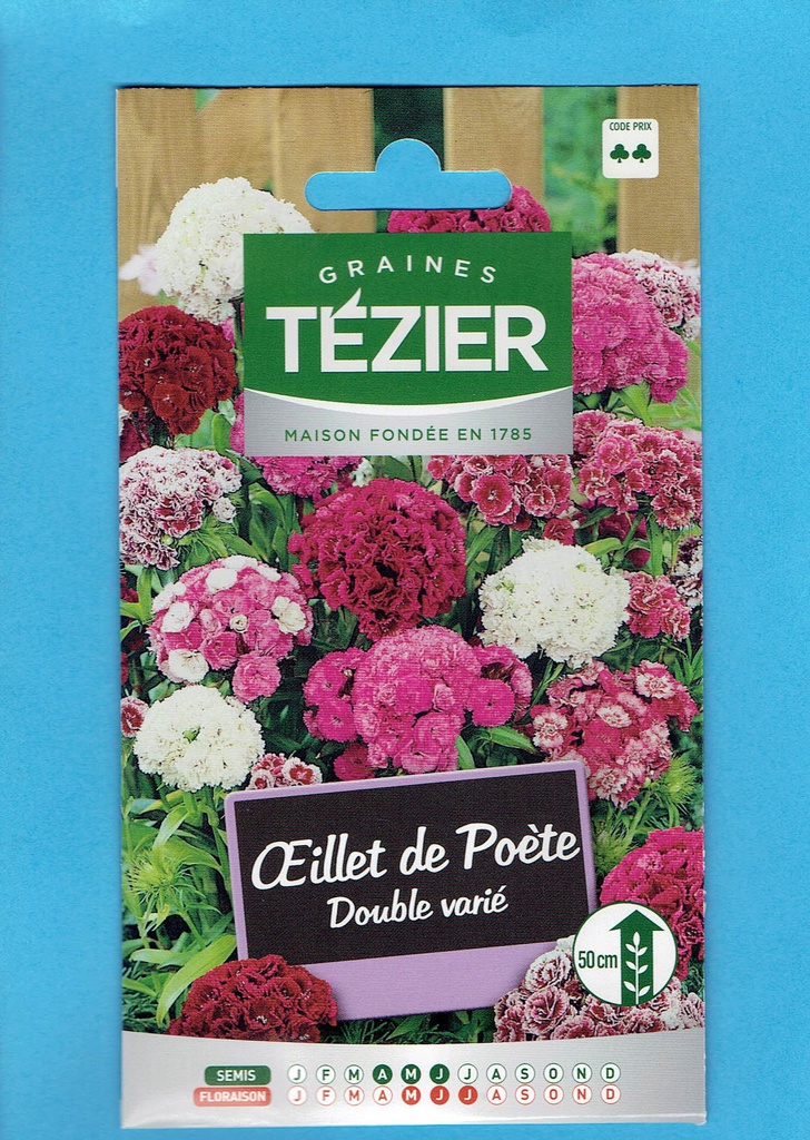 Tézier  graine  OEILLET de Poète - double varié