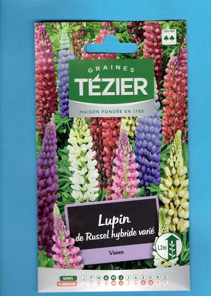 Tézier  graine  LUPIN de Roussel - hybride varié