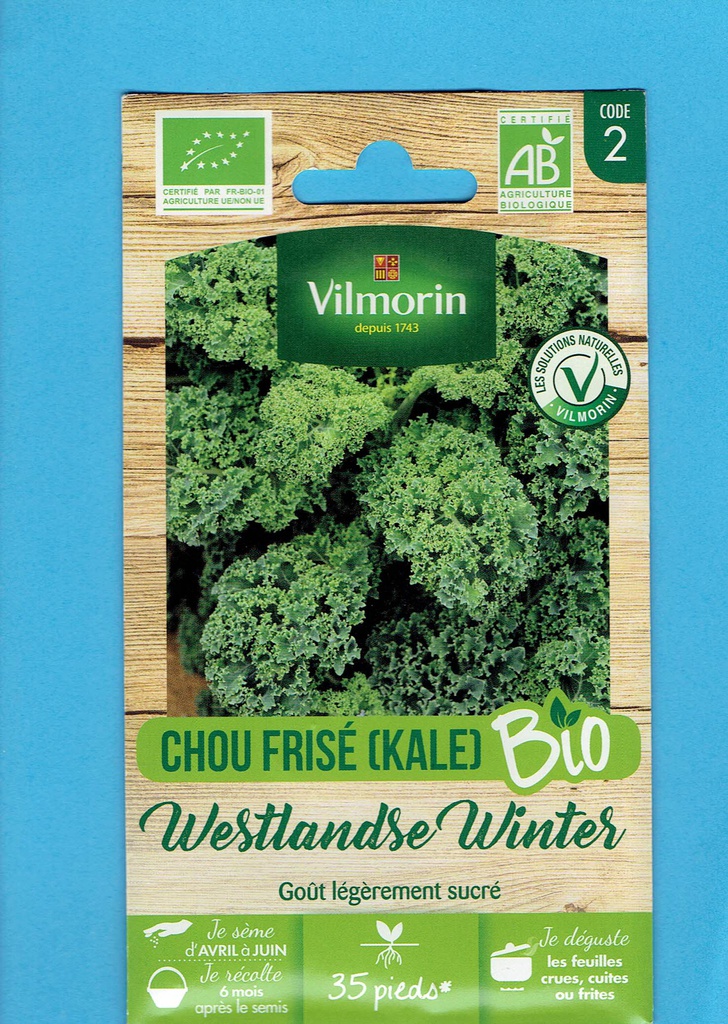 Vilmorin  graine CHOU FRISE KALE  Bio- Westlandse Winter