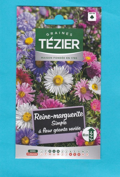 Tézier graine REINE-MARGUERITE Simple à fleur géante variée 1*