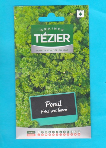 Tézier  graine Persil - frisé vert foncé