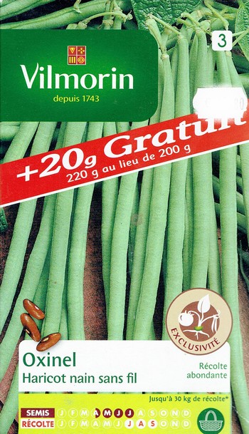 Vilmorin graine - Oxinel Haricot nain sans fil 200g + 20g - série 3