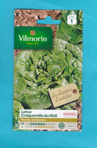 Vilmorin  graine  Laitue Craquerelle du Midi