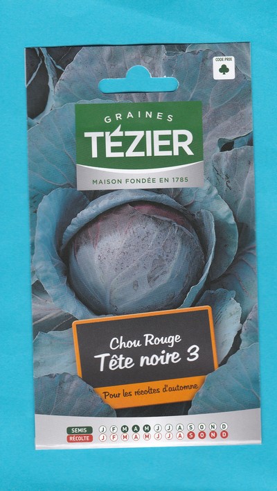 Tézier graine  Chou Rouge Tête Noire 1*