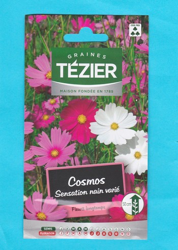 Tézier graine  COSMOS- Sensation Nain 3*