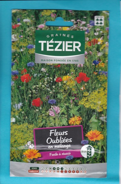 Tézier  graine  Fleurs Oubliées GM 4*