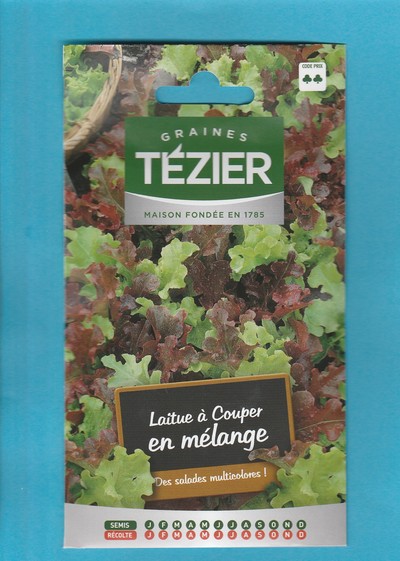 Tézier graine  Laitue à couper Mélange Salad Bowl  4G - série 2