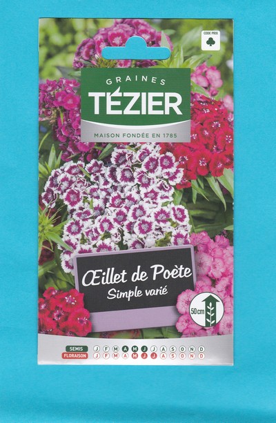 Tézier  graine  OEILLET de Poète - Simple varié 1*