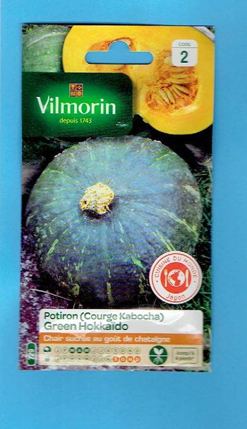 Vilmorin  graine Potiron Vert Green Hokkaïdo 2*