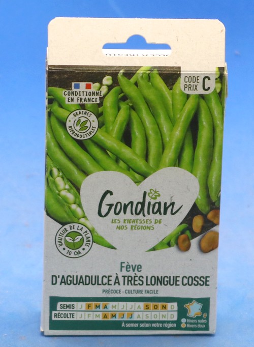 Gondian Fève d'Aguadulce à très longue cosse 80g environ 45 graines pour 20 mètres