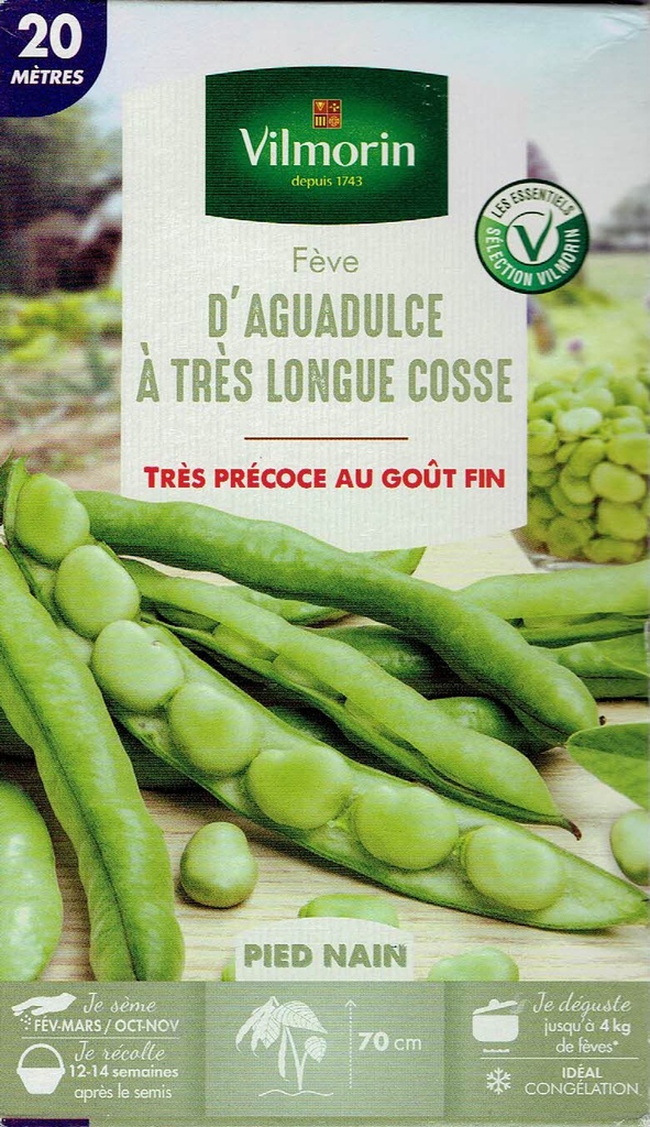 Vilmorin Fève d'Aguadulce à très longue cosse 140 graines pour 20 mètres