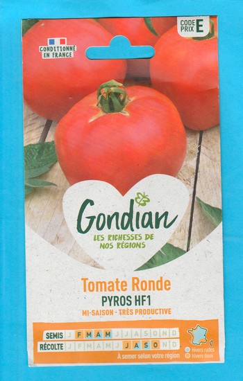 Gondian graine  Tomate Pyros HF1 .15g