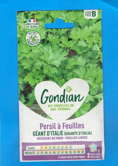 Gondian graine Persil Géant d'Italie 7g
