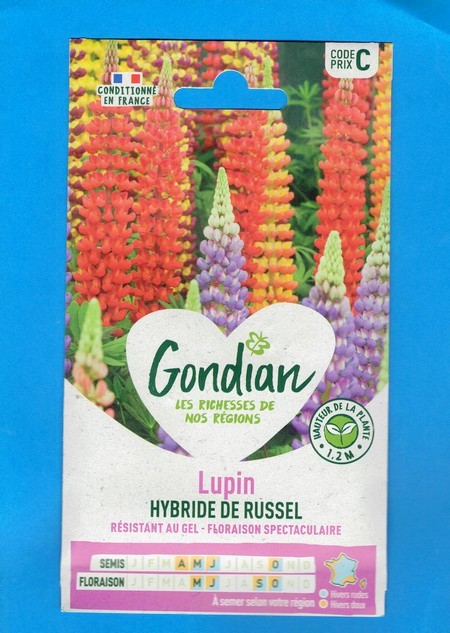 Gondian graine Lupin de Russel 2.5g