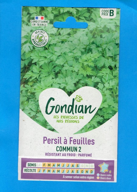 Gondian graine Persil Commun - 2 - 7g