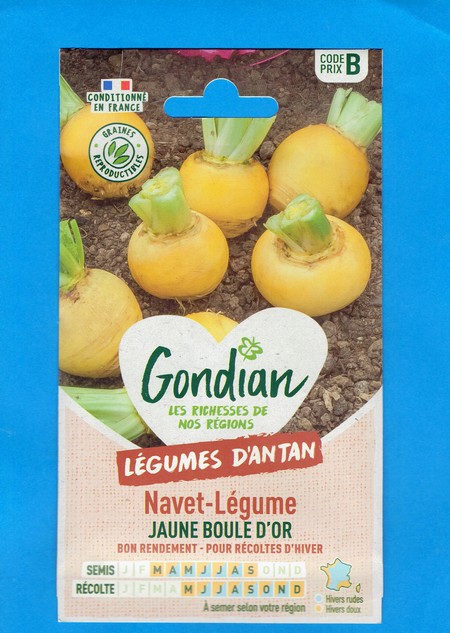 Gondian graine Navet Jaune Boule d'Or 5g