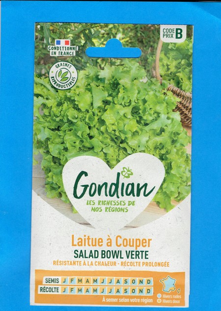 Gondian graine Laitue à Couper Salad Bowl verte 4g