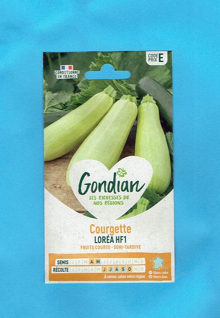 Gondian graine Courgette Lorea Loréa - hybride F1 série E 2gr +/-10 graines