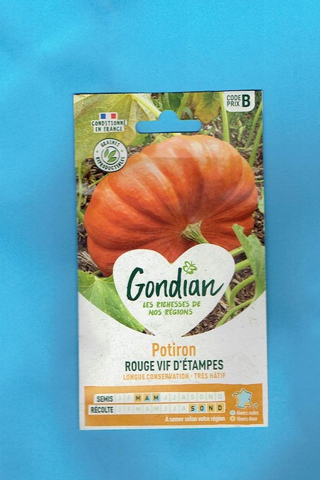 Gondian graine Potiron Vif d'Etampes série B 6gr  +/- 18 graines