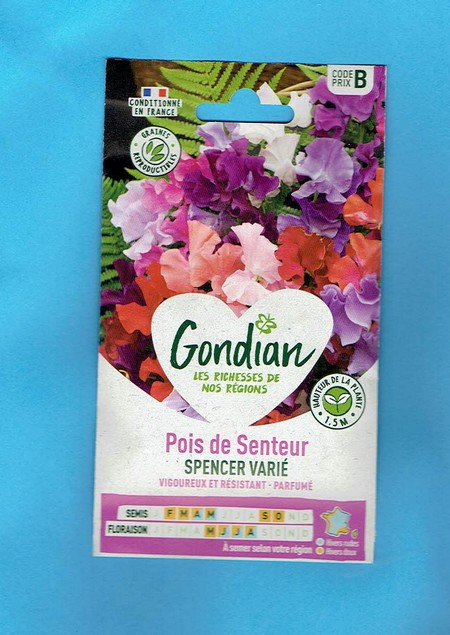 Gondian graine Pois de Senteur Spencer Variée 5g