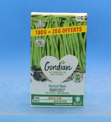 Gondian graine Haricot  RUDY 200g + 20% environ 740 graines