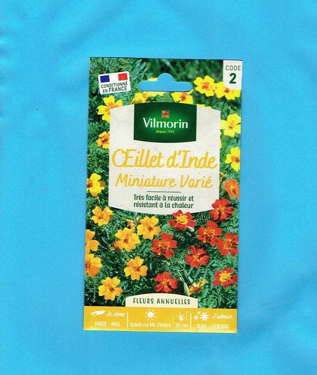 Vilmorin  graine OEILLET d'Inde - Miniature varié Taget - 2* 1gr