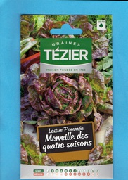 [TZ-3603711] Tézier graine Laitue pommée - Merveille des quatres saisons