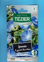 [TZ-5323511] Tézier graine  Ipomée à grande fleur bleue