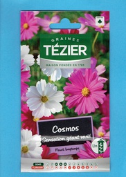 Tézier graine  COSMOS- Sensation géant varié