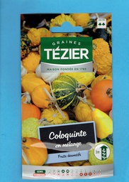 Tézier  graine  COLOQUINTE en mélange