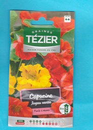 Tézier graine  CAPUCINE Joyau varié